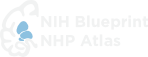 NHP logo